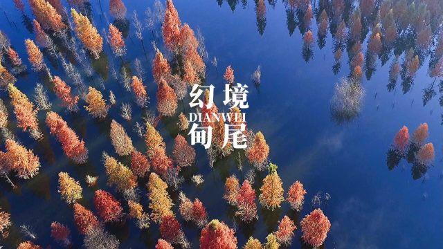 孤岛先锋