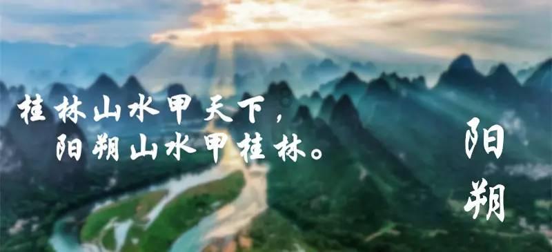 让动物飞一会