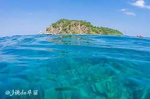 有哪些闻着香吃着臭的美食？游戏画面