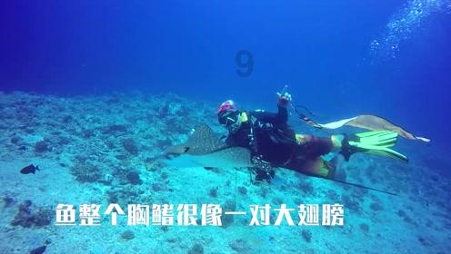 阴晋之战的故事是怎样的游戏画面