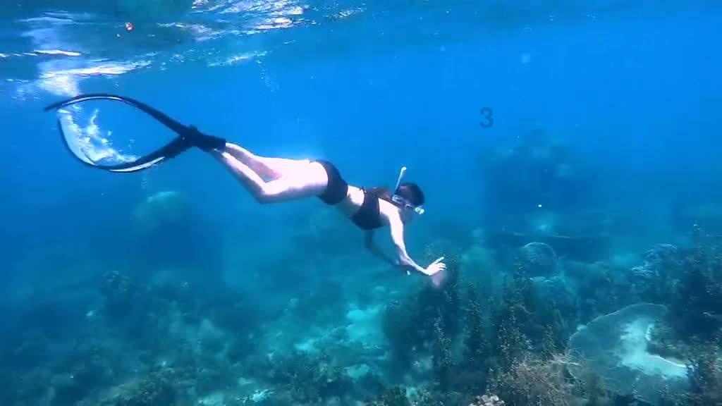栀子落星海