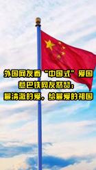 植物大战僵尸11